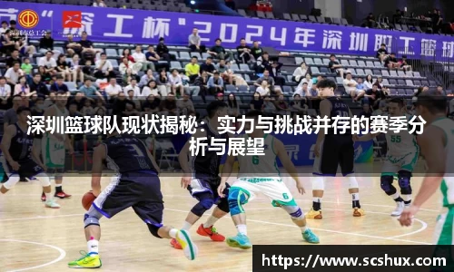 深圳篮球队现状揭秘：实力与挑战并存的赛季分析与展望